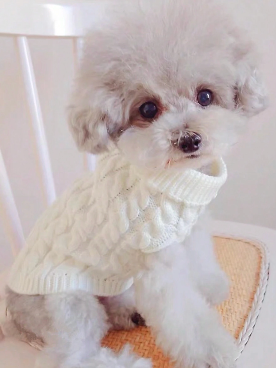 Knitted Cable Sweater For Pets